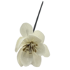 Flor Con Varilla Negra