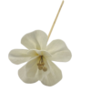 Flor con varilla natural