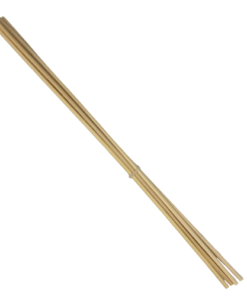 Rattan natural 250x3 mm (2)