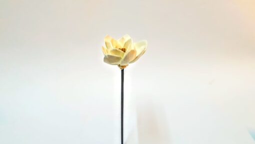 Flor Con Varilla Negra